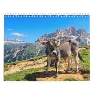 Calendário Dolomiti - pasto alpino