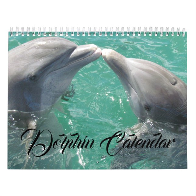 Calendário Dolphin Dive Hawaiian Love Destiny's (Capa)