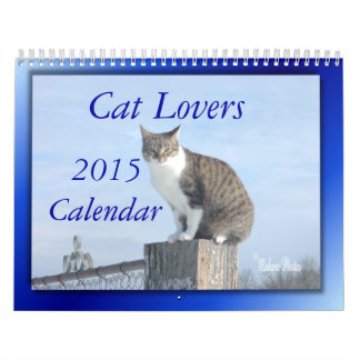 Calendário dos amantes 2014 do gato--ANO do EDIT