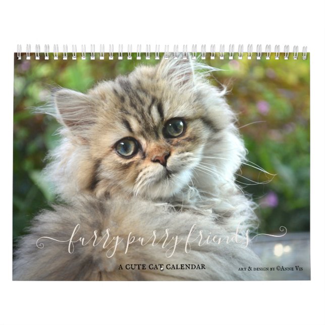 Calendário dos Amantes de Gato Puro de Fúria de Co (Capa)