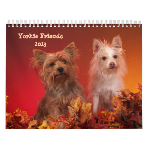 Calendário dos amigos 2013 de Yorkie