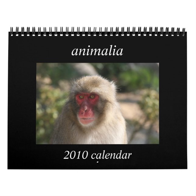 calendário dos animais 2010 (Capa)