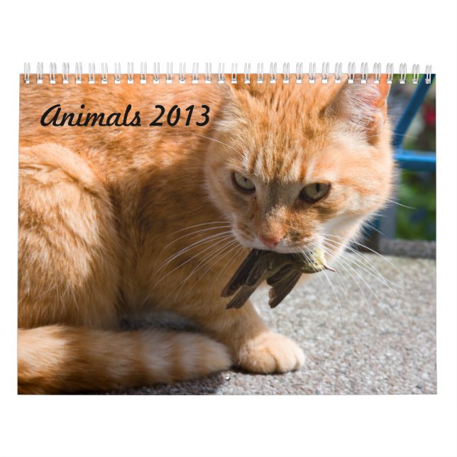 Calendário dos animais 2013 (Capa)