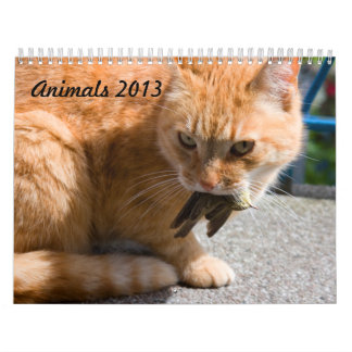 Calendário dos animais 2013