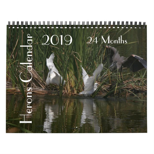 Calendário dos animais 2019 dos animais selvagens (Capa)