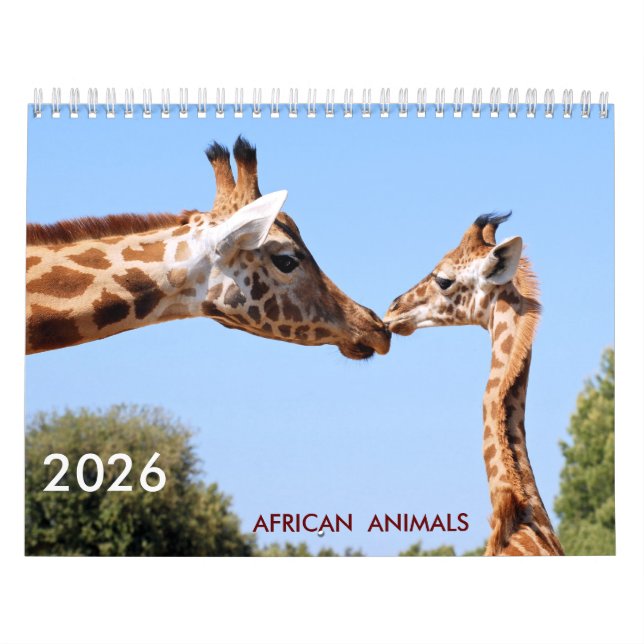 Calendário dos animais africanos (Capa)