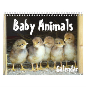 Calendário dos animais do bebê