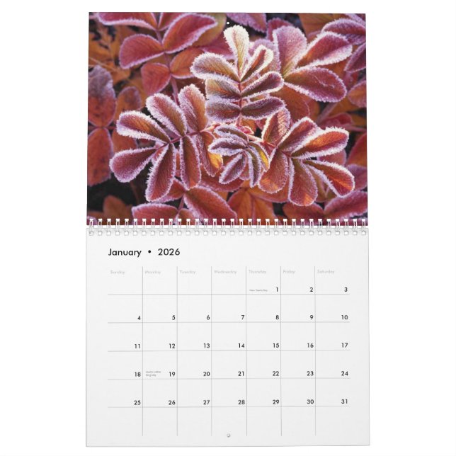 Calendário dos animais selvagens (Jan 2026)