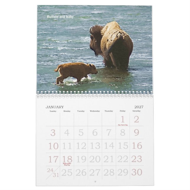 Calendário dos animais selvagens 2008 de (Jan 2027)