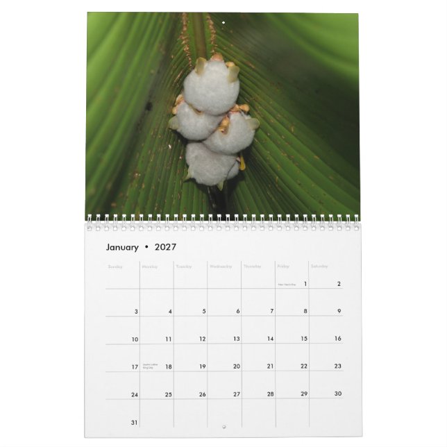 Calendário dos bastões (Jan 2027)