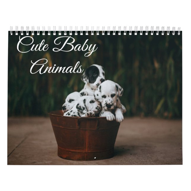 Calendário dos Bebês Cute (Capa)