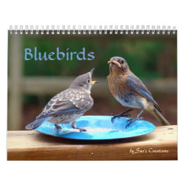 Calendário dos Bluebirds