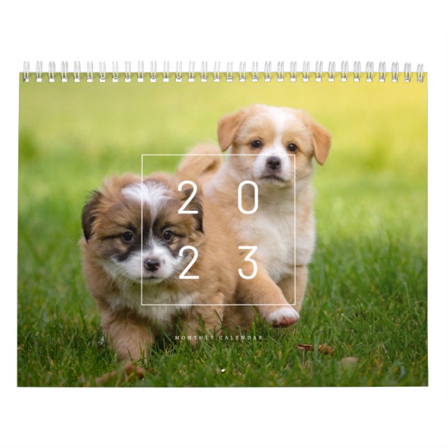 Calendário dos Cachorros de Corte 2023 (Capa)