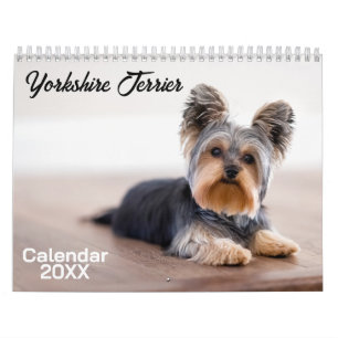 Calendário dos Cachorros de Yorkshire Terrier 2026
