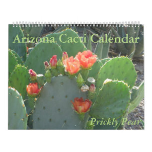 Calendário dos cactos da arizona