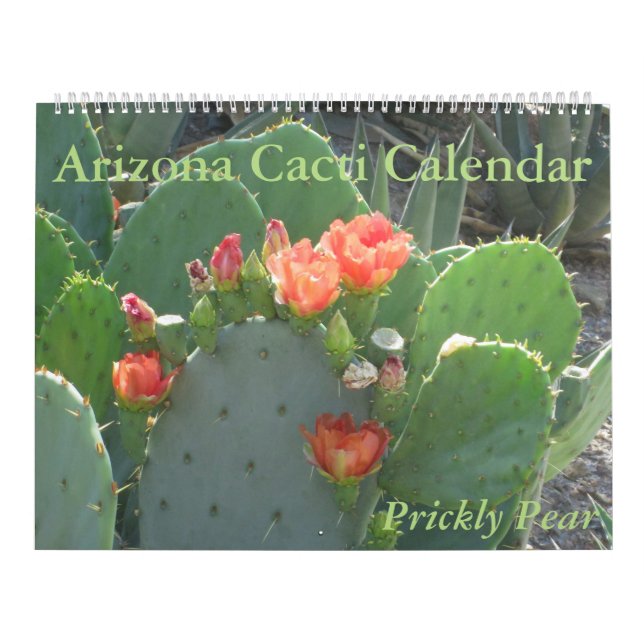 Calendário dos cactos da arizona (Capa)