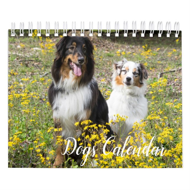 Calendário dos Cães (Capa)