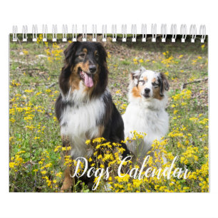 Calendário dos Cães