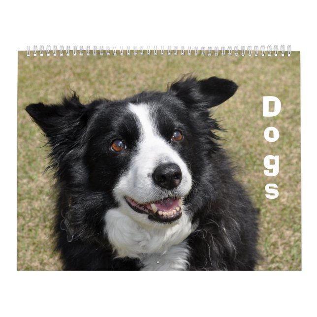 Calendário dos Cães (Capa)