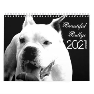 Calendário dos Cães de 2021 Belo Bullys