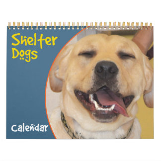 Calendário dos Cães de Abrigo