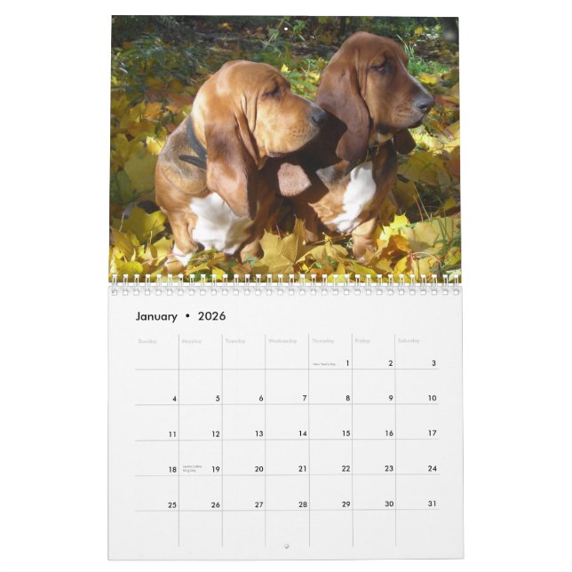 Calendário dos cães de Basset 2012 (Jan 2026)