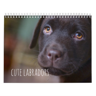 Calendário dos cães de labrador retriever -