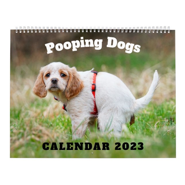 Calendário dos Cães Pooping 2023, Cães Engraçados (Capa)