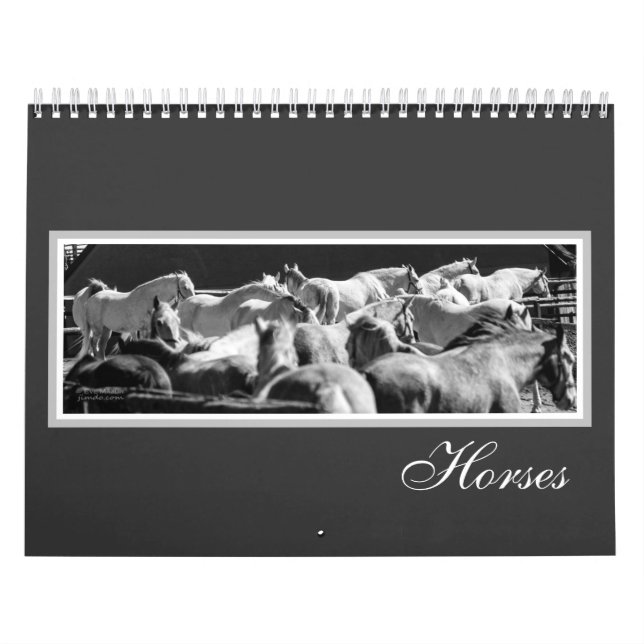 Calendário dos cavalos (Capa)