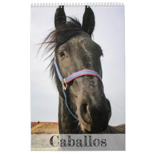 Calendário dos Cavalos...