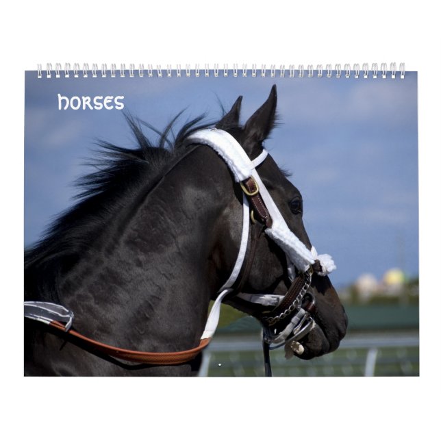calendário dos cavalos (Capa)