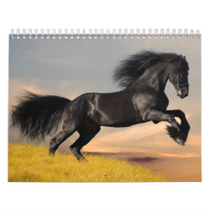 Calendário dos cavalos