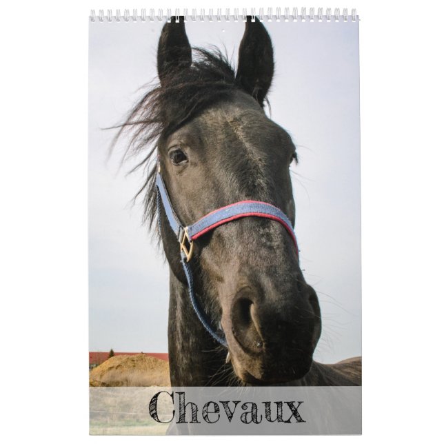 Calendário dos Cavalos... (Capa)