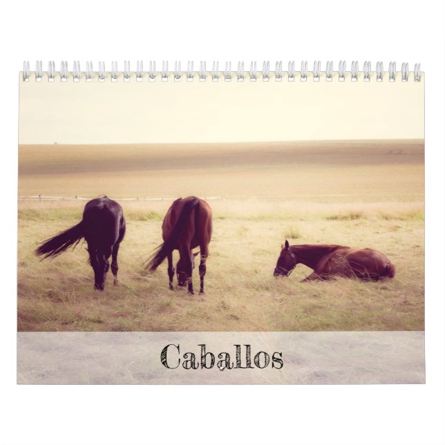 Calendário dos Cavalos (Capa)
