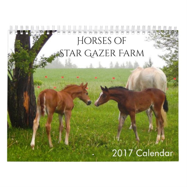 Calendário dos Cavalos 2017 (Capa)