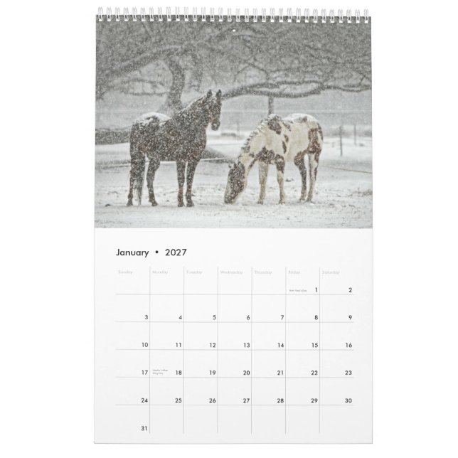 Calendário dos Cavalos de 2017 (Jan 2027)