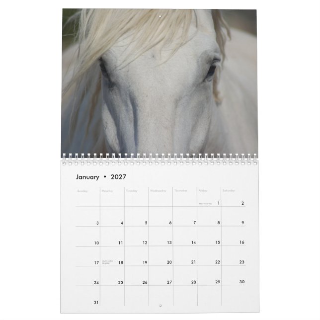 Calendário dos cavalos de esboço #1 (Jan 2027)