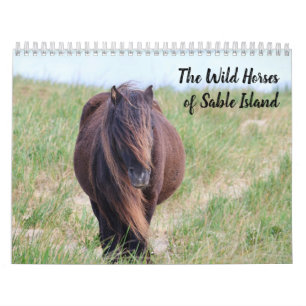 Calendário dos Cavalos Selvagens da Ilha de Sable
