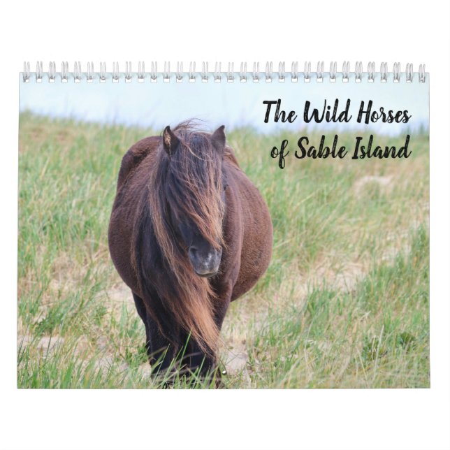 Calendário dos Cavalos Selvagens da Ilha de Sable (Capa)