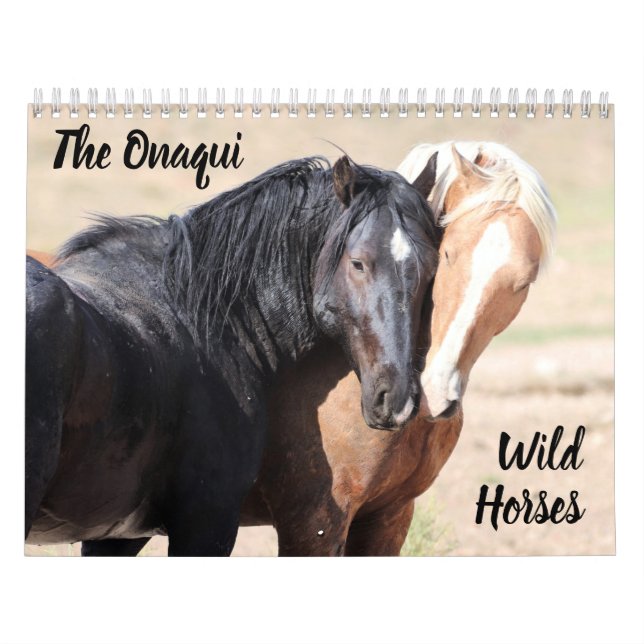 Calendário dos Cavalos Selvagens de Onaqui (Capa)