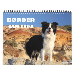 Calendário dos Collies de beira