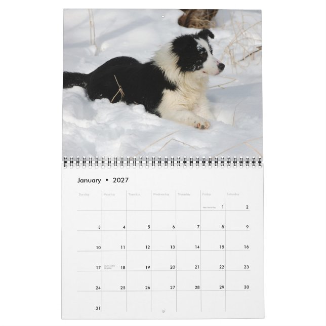 Calendário dos Collies de beira 2012 de Michigan (Jan 2027)