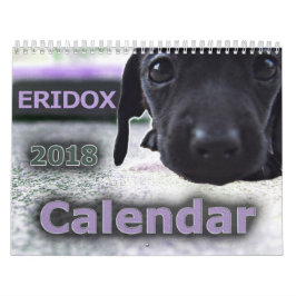 Calendário dos Dachshunds 2018 de Eridox