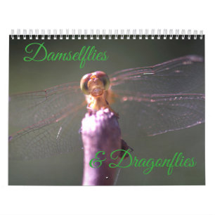 Calendário dos Damselflies e das libélulas