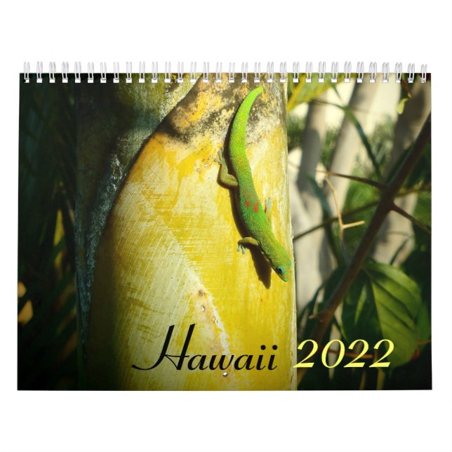 Calendário dos destinos cênicos do Havaí 2022 (Capa)