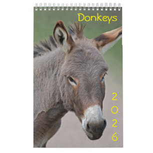 Calendário dos Donkeys 2025