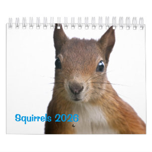 Calendário dos Esquilos