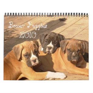 Calendário dos filhotes de cachorro 2010 do