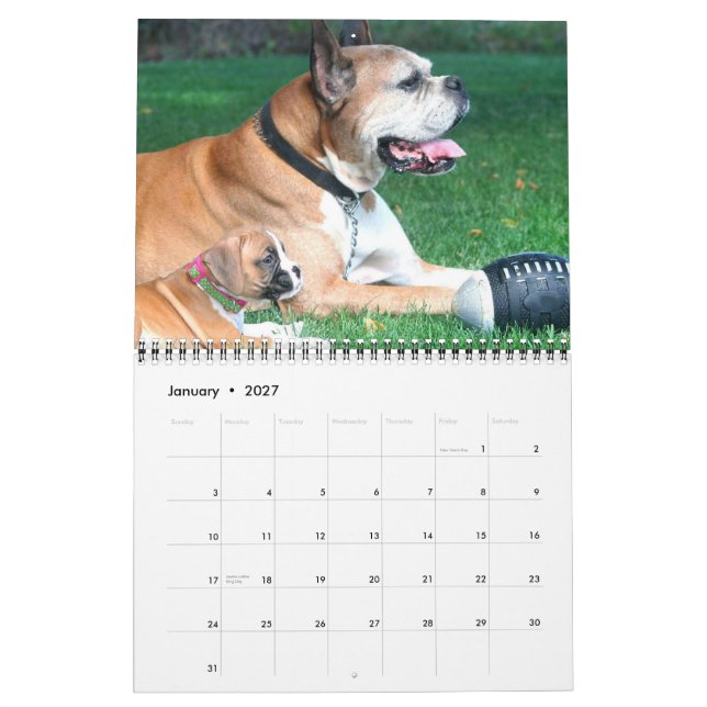 Calendário dos filhotes de cachorro 2012 do (Jan 2027)
