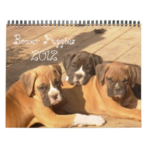 Calendário dos filhotes de cachorro 2012 do